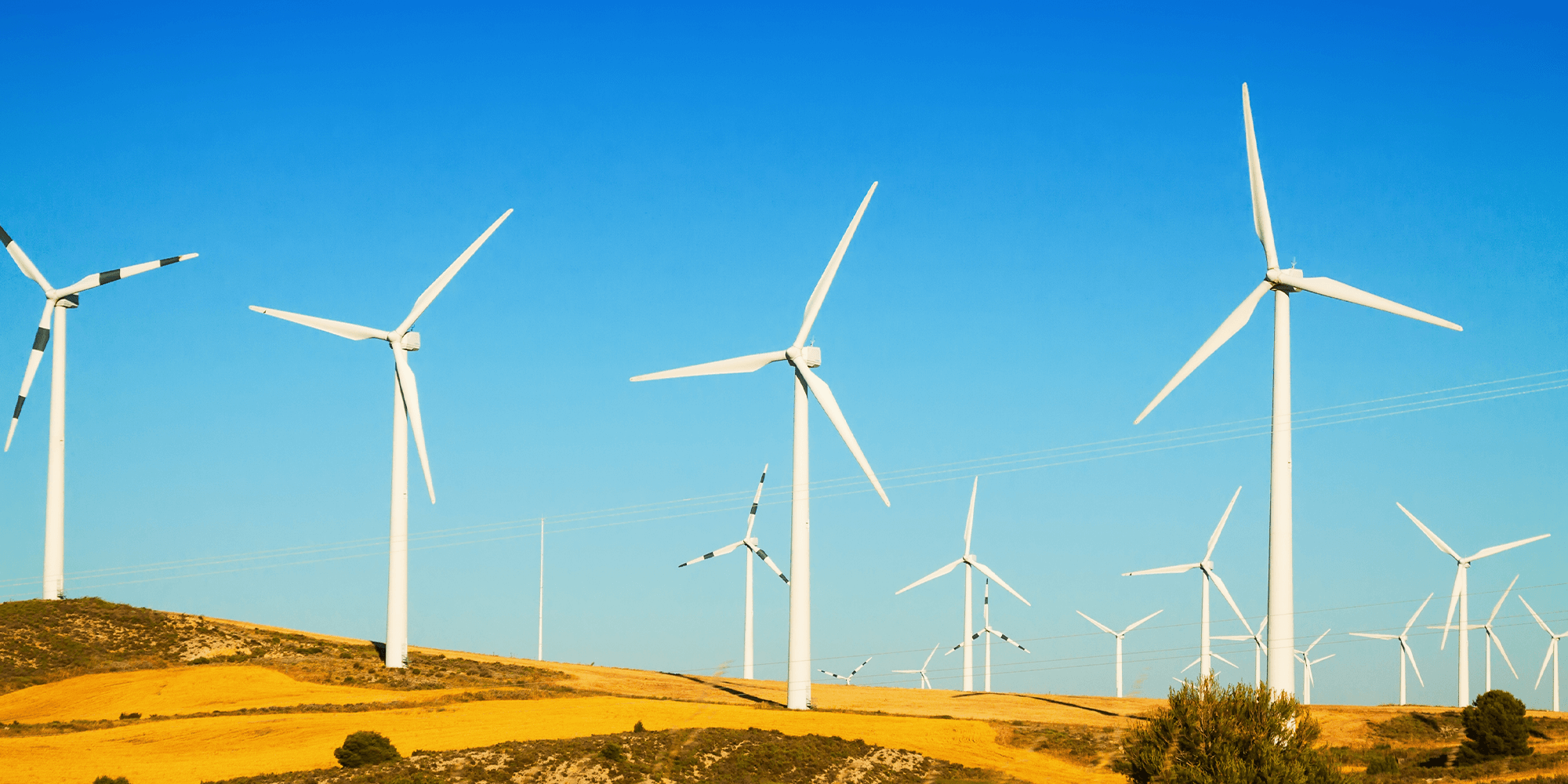 Wind Power Station